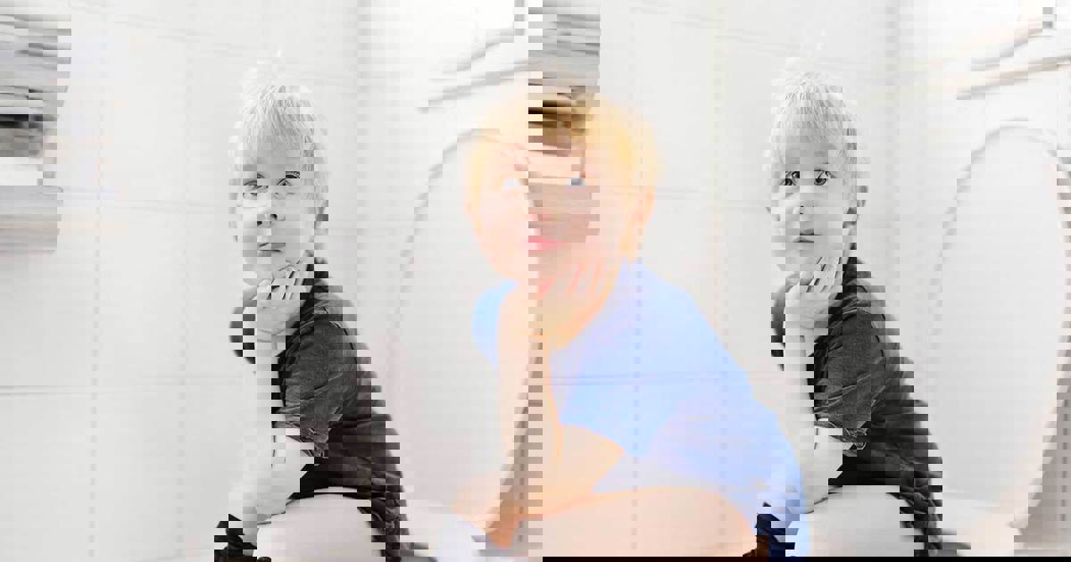 Cómo Orinar ¿De Pie O Sentado? Colhogar