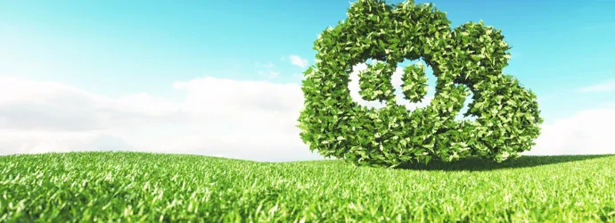 Reducción de las emisiones de carbono